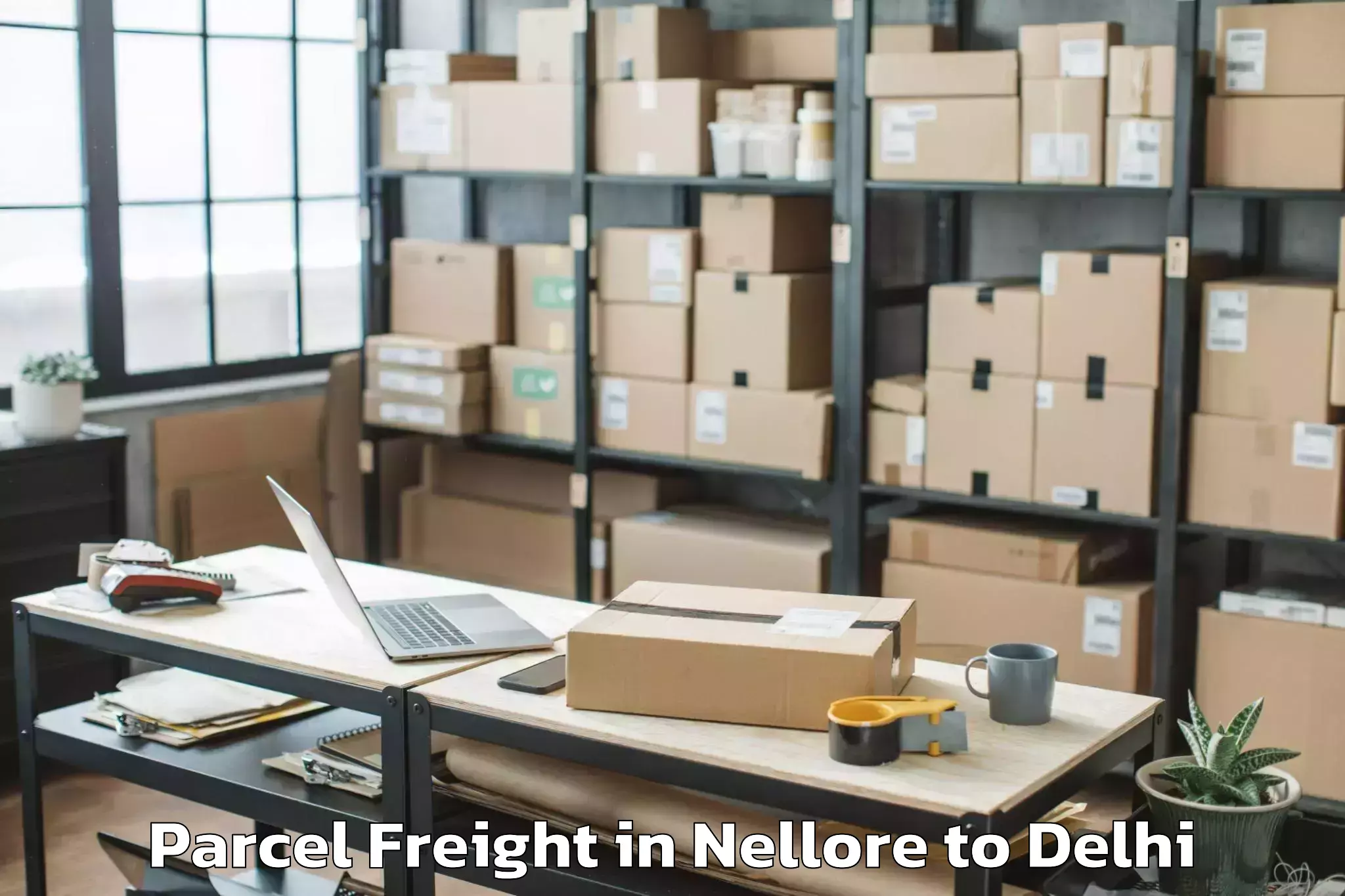 Top Nellore to Okhla Industrial Estate Okhla Parcel Freight Available